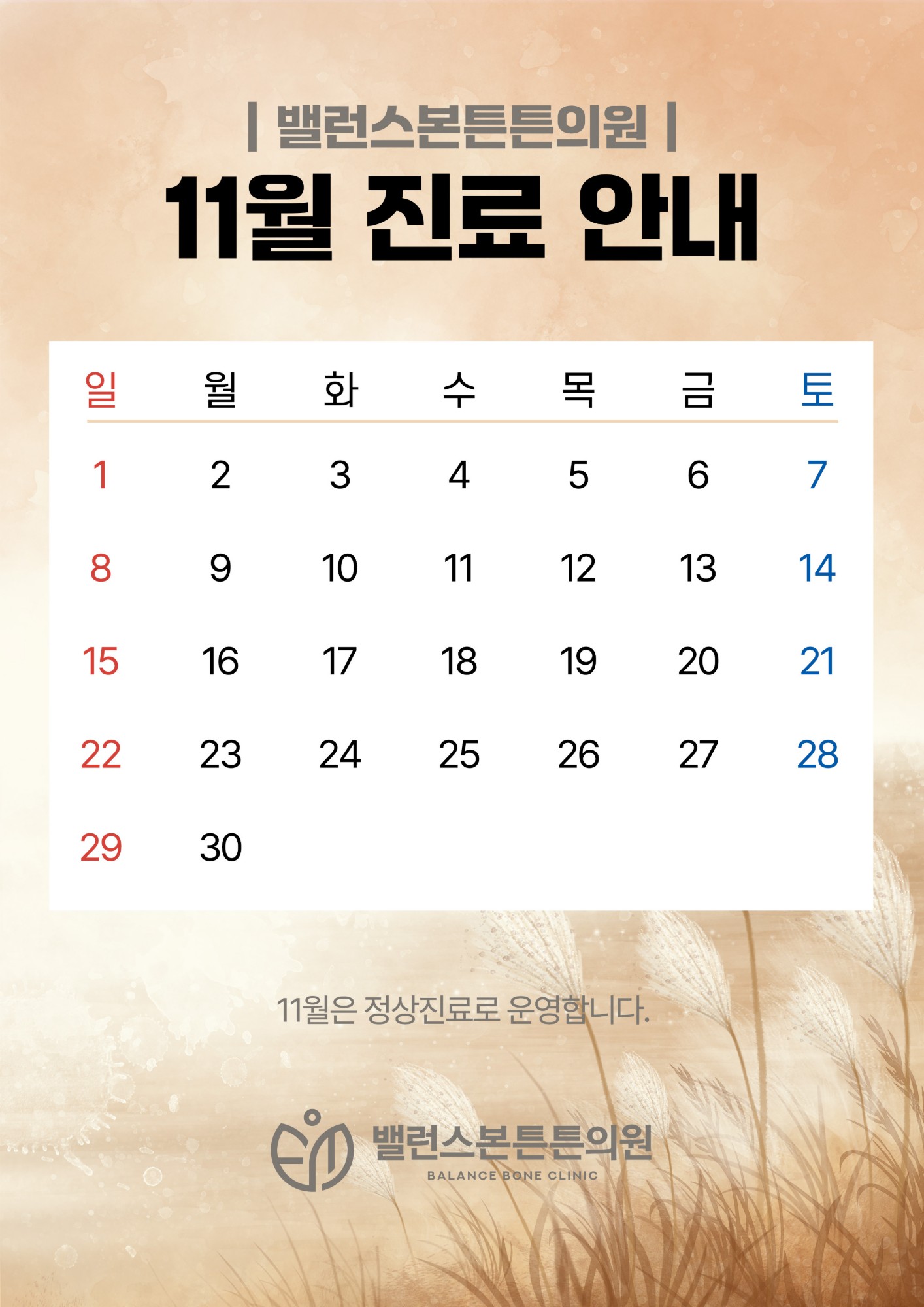 11월 진료일정 - 11월은 휴진 없이 정상진료로 운영합니다